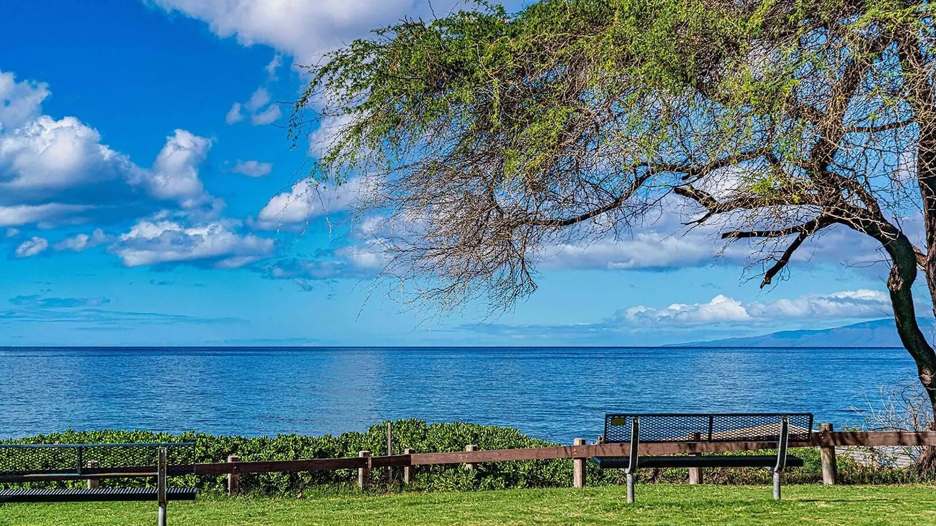 Maui Parkshore 307 Wailea  Wailea (Maui)